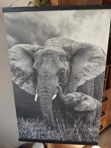 Olifant wandposter op stof beschikbaar voor biedingen