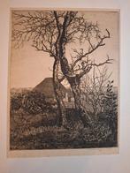 Ets van bomen op Texel, Ophalen of Verzenden