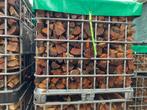 Haardhout op voorraad, per gestapelde kuub, 6 m³ of meer, Ophalen, Overige houtsoorten, Blokken