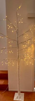 Witte berkenboom led verlichting 170-180 cm, Ophalen, Zo goed als nieuw, Binnen