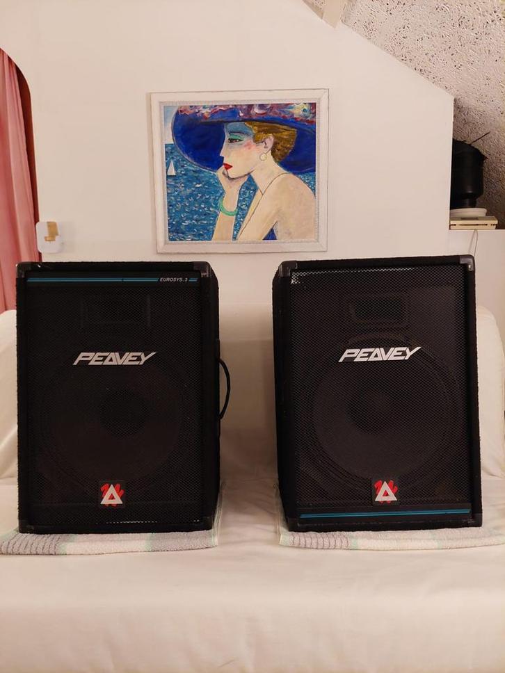 Peavy eurosys 3 luidsprekers, Audio, Tv en Foto, Luidsprekers, Gebruikt, Front, Rear of Stereo speakers, 120 watt of meer, Overige merken