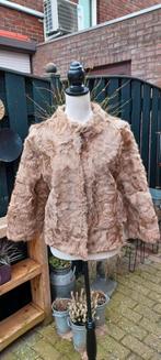 Bont jasje maat 40, Ophalen of Verzenden, Zo goed als nieuw, Maat 38/40 (M), Carnaval