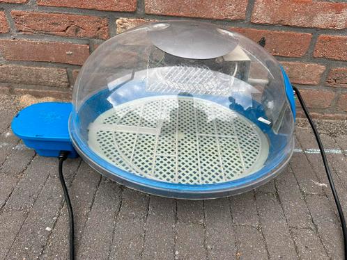 Broedmachine Fiem Smart, Dieren en Toebehoren, Pluimvee | Toebehoren, Zo goed als nieuw, Broedmachine, Ophalen