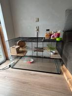 Kleine knaagdieren kooi, Dieren en Toebehoren, Kooi, Ophalen, Minder dan 60 cm, 110 cm of meer