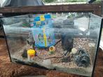 Aquarium met toebehoren, Dieren en Toebehoren, Ophalen, Leeg aquarium