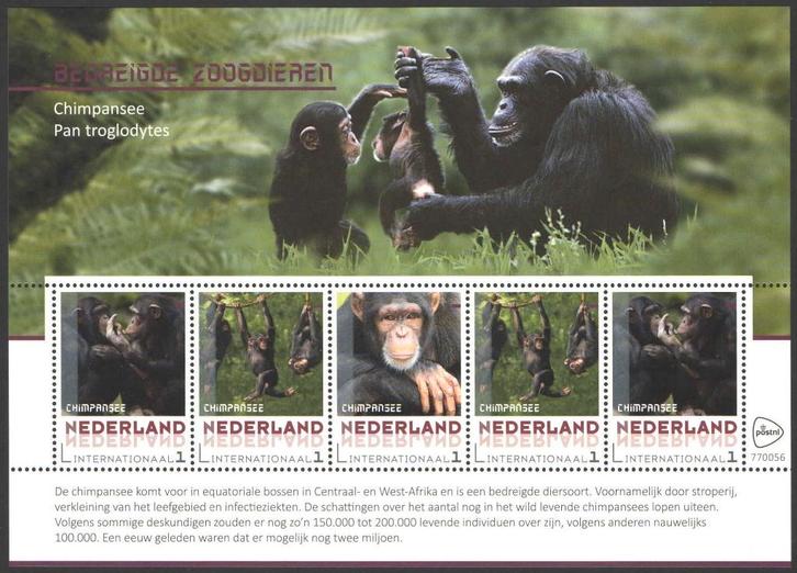 Postzegels Bedreigde zoogdieren: Chimpansee, Postzegels en Munten, Postzegels | Nederland, Postfris, Na 1940, Ophalen of Verzenden