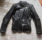 Leren jack dames van Froccella, IT maat 46, EUR maat 40, Ophalen of Verzenden, Tweedehands, Dames, Jas | leer
