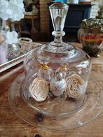 Glazen Stolp met Onderbord - Vintage, Antiek en Kunst, Ophalen of Verzenden