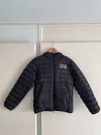 EA7 Winterjas - Maat M, Kleding | Heren, Ophalen of Verzenden, Gedragen, Maat 48/50 (M), Zwart