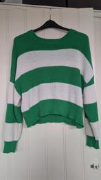 Groene Bristol Trui Maat L, Kleding | Dames, Trui of Vest, Ophalen of Verzenden, Zo goed als nieuw, Bristol
