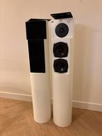V-vox Saurus luidsprekers, Audio, Tv en Foto, Luidsprekers, Gebruikt, 60 tot 120 watt, Front, Rear of Stereo speakers, Ophalen