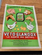 Antieke affiche Dierenvoeding  Jaren 50 vorige eeuw, Ophalen of Verzenden