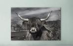 Schotse Hooglander Portret 180x120cm nieuw in verpakking!!, Ophalen of Verzenden