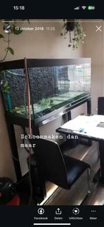 Aquarium kast stalen frame, Ophalen, Zo goed als nieuw