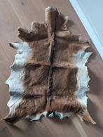 Echte Geiten Vacht Kleed 90x65cm, Ophalen of Verzenden, Rechthoekig, 50 tot 100 cm, 50 tot 100 cm
