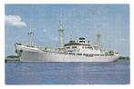 977779 MS Willemstad Schip KNSM Niet Gelopen, Ophalen of Verzenden, Ongelopen