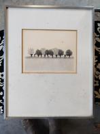 Jan van winkel ets 22/30  november 1979, Ophalen