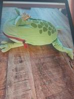 knuffel kikker met opbergvak., Kinderen en Baby's, Speelgoed | Knuffels en Pluche, Ophalen, Zo goed als nieuw, Kikker