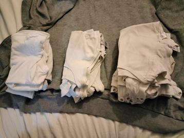 Rompertjes te koop beschikbaar voor biedingen