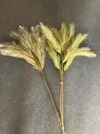 Z.g.a.n/groene pluimen, Huis en Inrichting, Woonaccessoires | Kunstplanten en Kunstbloemen, Ophalen of Verzenden, Zo goed als nieuw