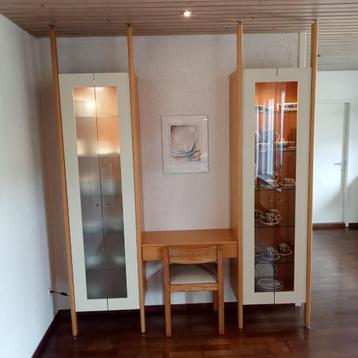 Design vitrinekast beschikbaar voor biedingen
