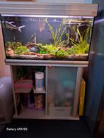 Compleet aquarium 160L met onderkast en vissen, Dieren en Toebehoren, Ophalen, Zo goed als nieuw, Gevuld zoetwateraquarium