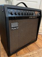 roland bolt 60,rickenbacker,polytone,buizen,, Ophalen, Gebruikt, Gitaar, 50 tot 100 watt