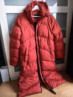 Cars Jeans winterjas XS - Zo goed als nieuw!, Kleding | Dames, Jassen | Zomer, Cars Jeans, Ophalen of Verzenden, Zo goed als nieuw