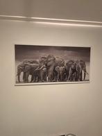 Mooi schilderij olifanten, Ophalen, Zo goed als nieuw, Minder dan 50 cm, Schilderij