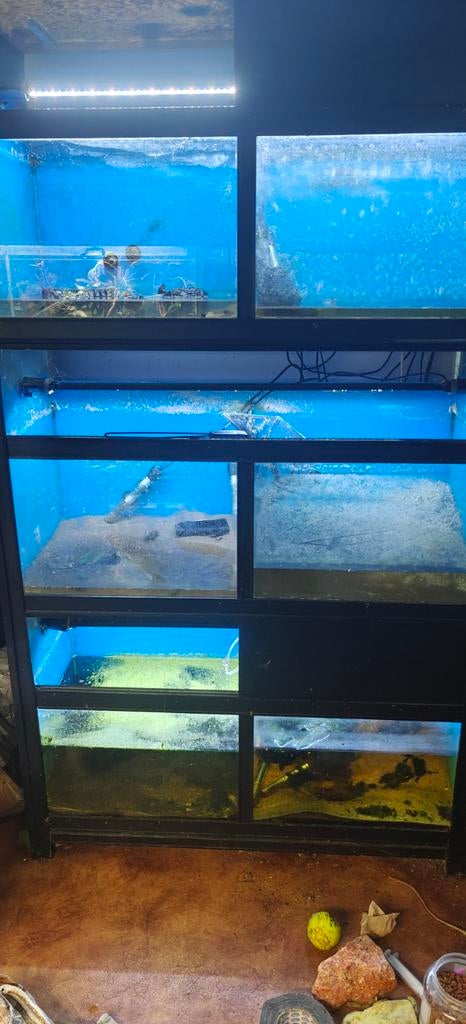 Aquarium stelling, Dieren en Toebehoren, Vissen | Aquaria en Toebehoren, Ophalen, Gebruikt, Leeg aquarium