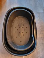 2 honden manden in goede staat, Dieren en Toebehoren, Ophalen