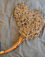 Decoratieve dadeltak, Ophalen, Gebruikt