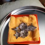 Broche klassiek, Sieraden, Tassen en Uiterlijk, Broches, 4 tot 7 cm, Ophalen of Verzenden, Zo goed als nieuw, Zilver