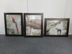 Set van 3 ingelijste prints - Dieren in de natuur, Ophalen of Verzenden, Zo goed als nieuw, Wanddecoratie