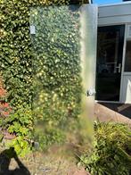 Mooie Glazen Deur, Doe-het-zelf en Verbouw, Deuren en Horren, 80 tot 100 cm, Binnendeur, Ophalen of Verzenden, 200 tot 215 cm