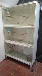 Broedkooi van keulen, Dieren en Toebehoren, Vogels | Hokken en Kooien, Ophalen, Hout, Broedkooi of Kweekkooi