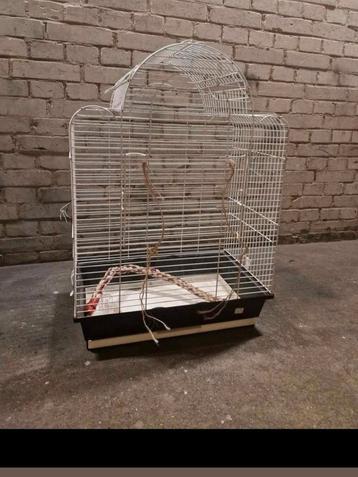 Te koop! Vogel kooi. beschikbaar voor biedingen