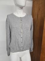 Zusss vest xl l, Kleding | Dames, Maat 46/48 (XL) of groter, Ophalen of Verzenden, Zo goed als nieuw, Grijs