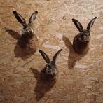 Prachtige hazenkoppen. Taxidermie 175 per stuk, Verzamelen, Dierenverzamelingen, Ophalen of Verzenden, Zo goed als nieuw, Wild dier