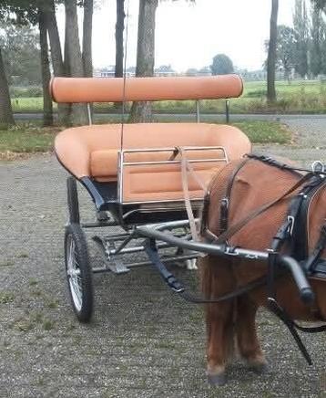 Unieke geveerde menwagen voor pony beschikbaar voor biedingen