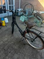 Damesfiets Pelikaan Dutch Classic, Versnellingen, Ophalen, Overige merken, 53 tot 56 cm