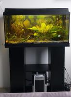 Aquarium compleet met kast, pomp, verwarming, toebehoren, Dieren en Toebehoren, Ophalen, Gebruikt, Gevuld zoetwateraquarium