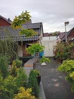 Tuinbonsai/vormboom/Amerikaanse eik, Tuin en Terras, Planten | Tuinplanten, Ophalen, Overige soorten, Halfschaduw