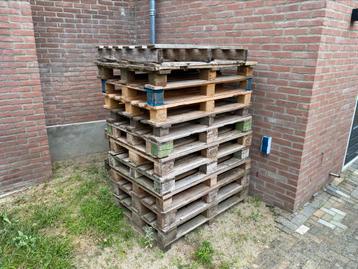 Pallets (gratis), flesje witte wijn mag altijd beschikbaar voor biedingen