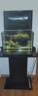 SuperFish Aquarium 40L met meubel en producten, Dieren en Toebehoren, Vissen | Aquaria en Toebehoren, Ophalen, Leeg aquarium