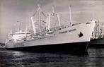 Vrachtschip Zygmunt August - Polish Ocean Lines - foto 18x12, Ophalen of Verzenden, Zo goed als nieuw, Kaart, Foto of Prent