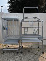 Papegaaienkooi & Speeltoestel, Dieren en Toebehoren, Vogels | Parkieten en Papegaaien, Mannelijk, Papegaai