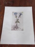 24.5x30.5 cm. mooie pentekening aquarel bloemen gesigneerd., Ophalen of Verzenden