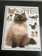 Het mooiste katten boek, Ophalen of Verzenden, Zo goed als nieuw, Katten