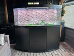 Juwel Vision 450 - Netjes en compleet, Dieren en Toebehoren, Ophalen, Gebruikt, Leeg aquarium